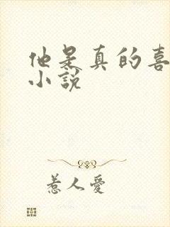 他是真的喜欢你小说