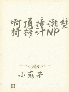 啊顶撞潮双H龙椅榨汁NP