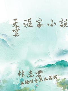 天涯客小说百度云