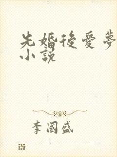 先婚后爱梦筱二小说