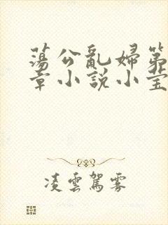 荡公乱妇第51章小说小莹