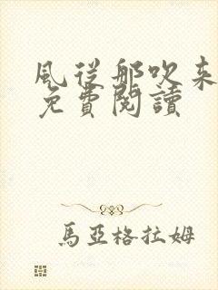 风从那吹来小说免费阅读