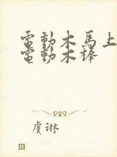 电动木马上两个电动木棒