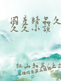 国产精品久久久久久小说