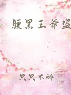 腹黑王爷盗墓妃