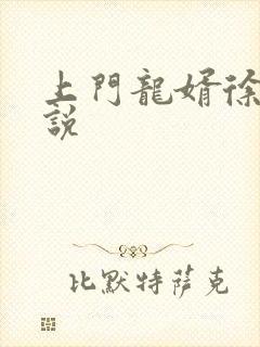 上门龙婿徐阳小说