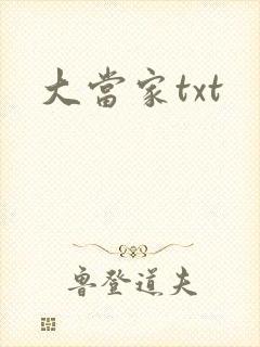 大当家txt