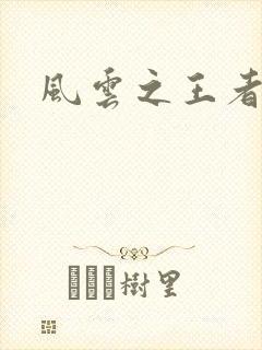 风云之王者人生