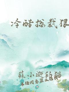 冷酷总裁狠狠爱