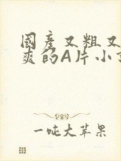 国产又粗又黄又爽的A片小说