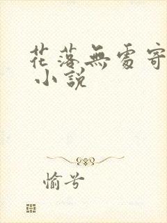 花落无处寄相思 小说