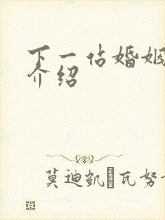 下一站婚姻剧情介绍