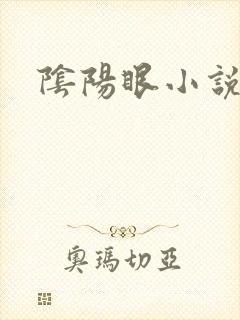 阴阳眼小说