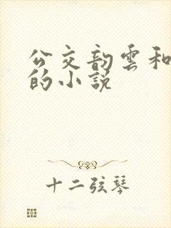 公交韵云和小健的小说