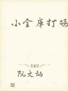 小金库打码平台