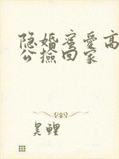 隐婚蜜爱高冷老公捡回家