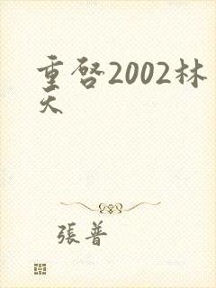 重启2002林天