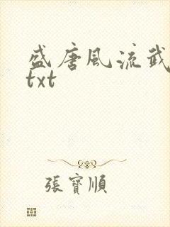 盛唐风流武状元txt