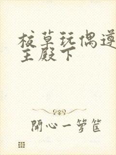 校草玩偶遵命公主殿下