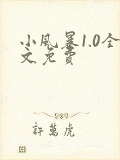 小风暴1.0全文免费