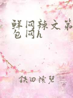 鲜网辣文第二书包网h