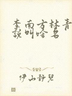 李南方林青青小说叫啥名