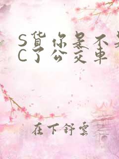 S货你是不是欠C了公交车