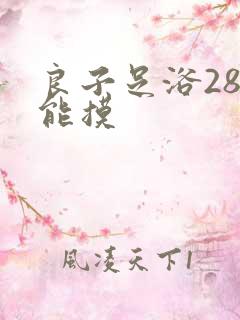 良子足浴288能摸