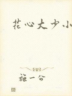 花心大少小说
