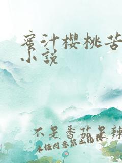 蜜汁樱桃苦咖啡小说