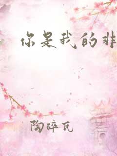 你是我的非卖品