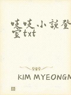 吱吱小说登堂入室txt