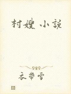 村嫂 小说