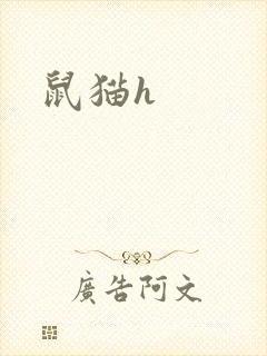 鼠猫h