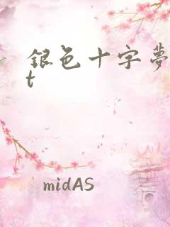 银色十字梦txt