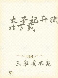 太子妃升职记txt下载