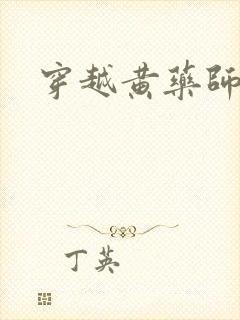 穿越黄药师之子