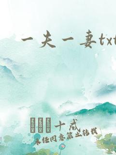 一夫一妻txt