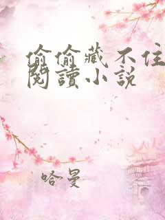 偷偷藏不住免费阅读小说