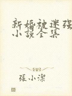 新婚被迷强系列小说全集