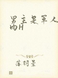 男主是军人的肉肉H