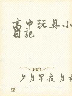 高中玩具小诗的日记