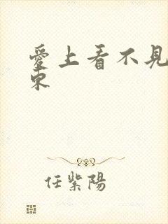 爱上看不见的房东