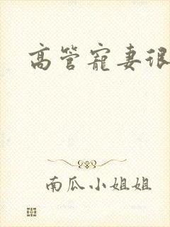 高管宠妻很丰满