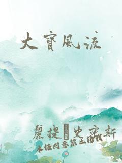 大宝风流