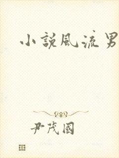 小说风流男护理