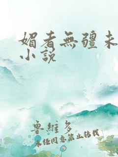 媚者无疆未删减小说