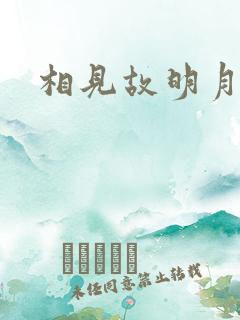 相见故明月