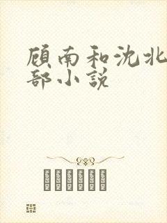 顾南和沈北是哪部小说