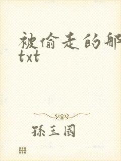 被偷走的那五年txt